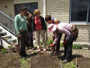 Blitz #5, Sue the task leader demos sowing seeds in the new beds