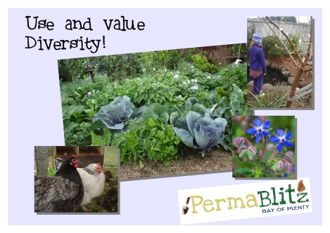We use diversity in our gardens to create ecological stability. Mixed plantings have less pests. We value and welcome everybody that joins us!
